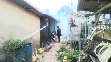 Dua Bulan Terdata 47 Kasus DBD di Bangka Selatan 3 IMG 20240205 WA0095