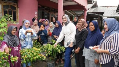 Panglima Babel Bagikan Pohon Cabai dalam Polybag Siap Panen Gratis, Tahap Pertama Target 10.000 Batang 3 IMG 20240307 WA0107