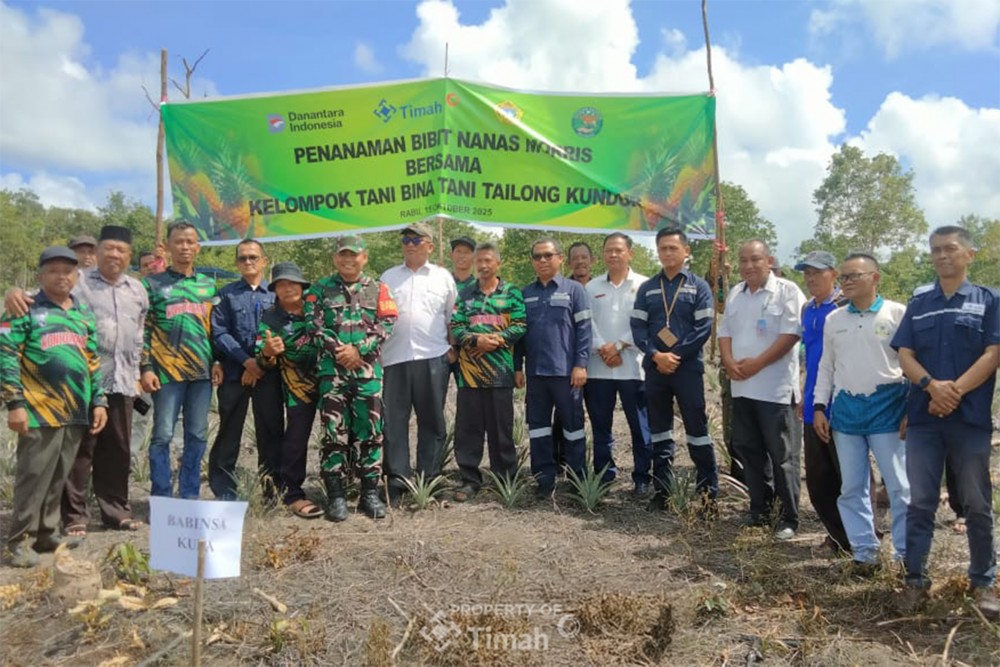 PT Timah Dukung Petani Kundur Tanam 50 Ribu Bibit Nanas untuk Ketahanan Pangan 7 68ef648ab4e2c