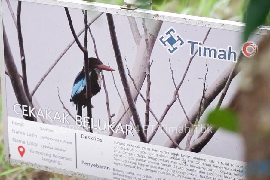 PT Timah dan PPS Alobi Mengembalikan Satwa Liar ke Alam 2 690b0d593c72b